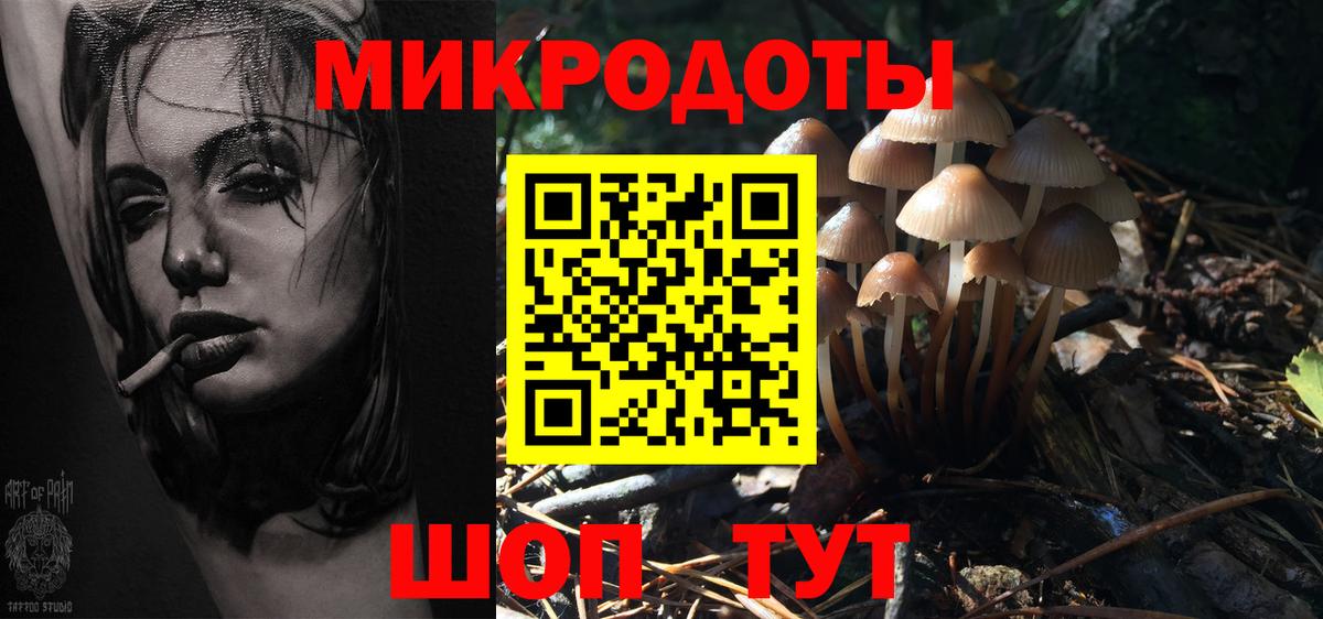 Галлюциногенные грибы Psilocybine cubensis Геленджик