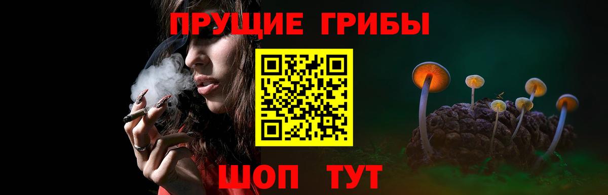 Геленджик  Галлюциногенные грибы Psilocybe  купить  сайты  Галлюциногенные грибы мухоморы  Вход с VPN 